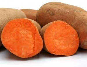 L'essor d'une nouvelle variété de patate douce au Sénégal